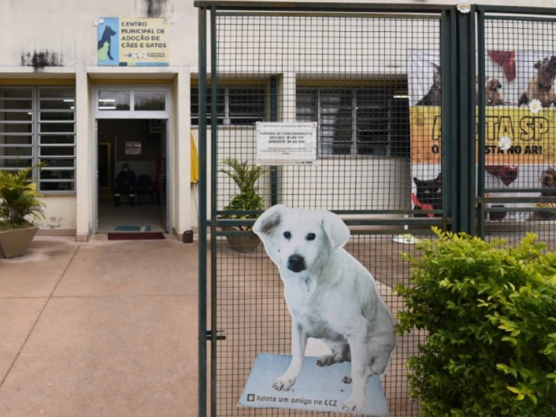Fachada branca com um placa escrito Centro Municipal de Adoção de Cães e Gatos sobre a porta. Mais à frente há um portão preto com a imagem de um cachorrinho branco